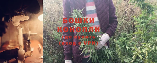 крисы Абдулино